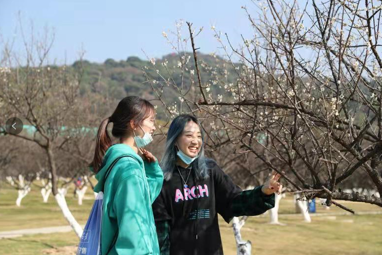 到黃埔去：才聞梅花香，又品香雪宴——第13屆蘿崗香雪文化旅遊節開幕（圖）