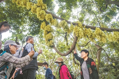 轉存圖片